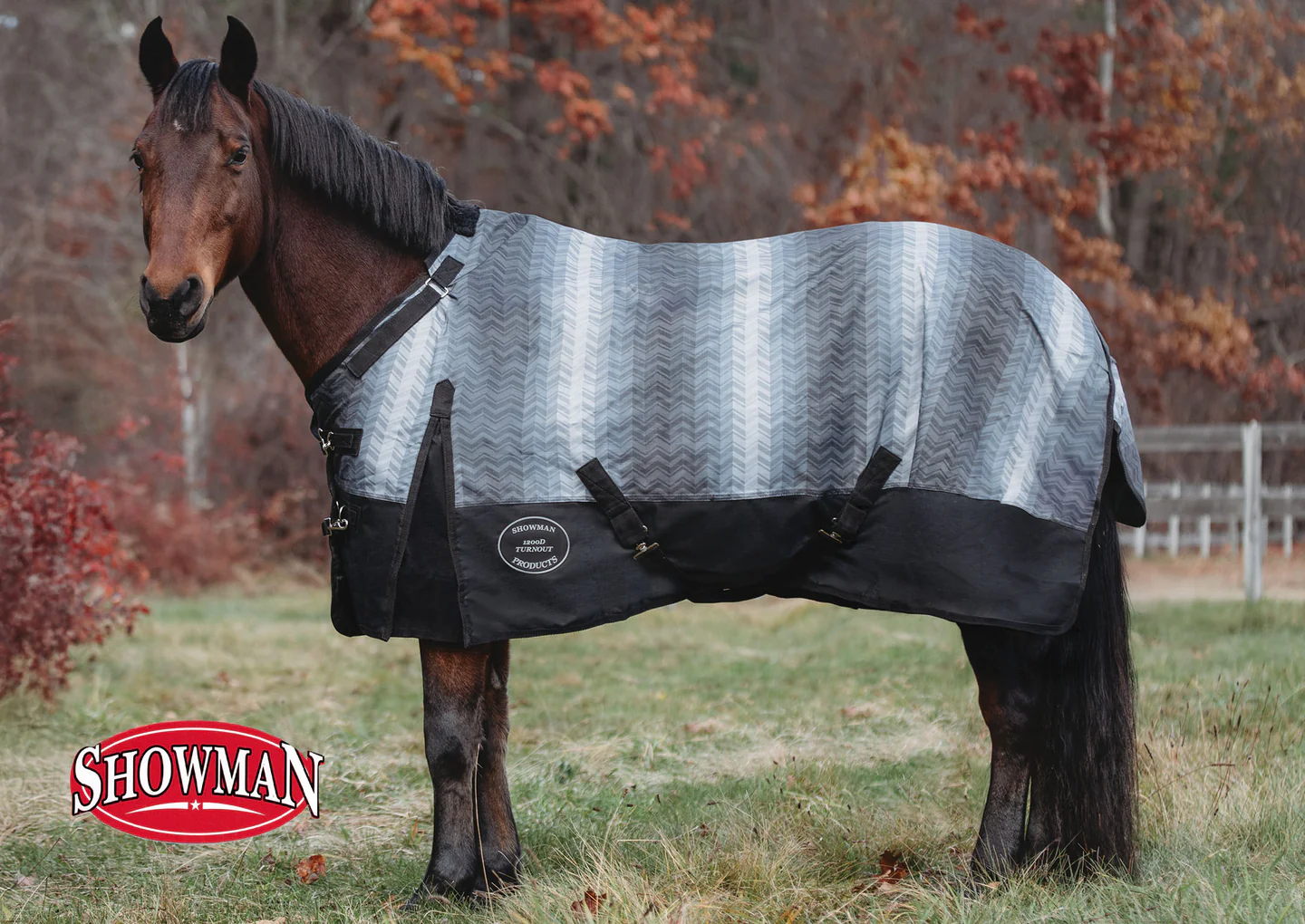 Elite Riding Gear, Outlet Prices